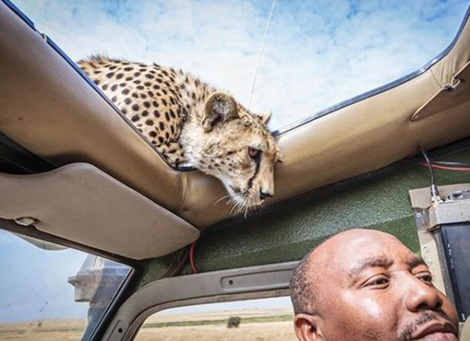 前方危險(xiǎn)！請(qǐng)注意安全！